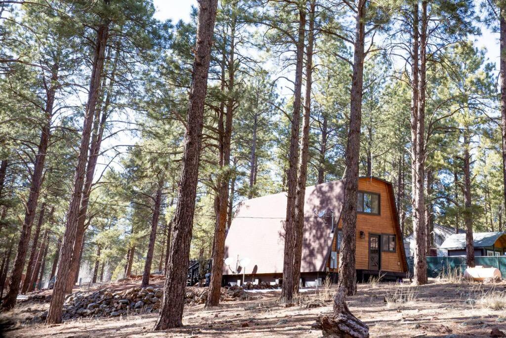 Grand Canyon Cabin! One Hour And 10 Minutes To The South Entrance! Вильямс Экстерьер фото
